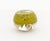 Light Green Paul Stankard Botanical Glass Paperweight, 2003 For Sale - Image 8 of 12