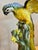 Green Large Hand-Painted Majolica Ceramic Macaw Sculpture For Sale - Image 8 of 11