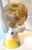 1970's Vintage Mid Century Ceramic Lady Head Vase With Dangle Earrings For Sale - Image 9 of 14