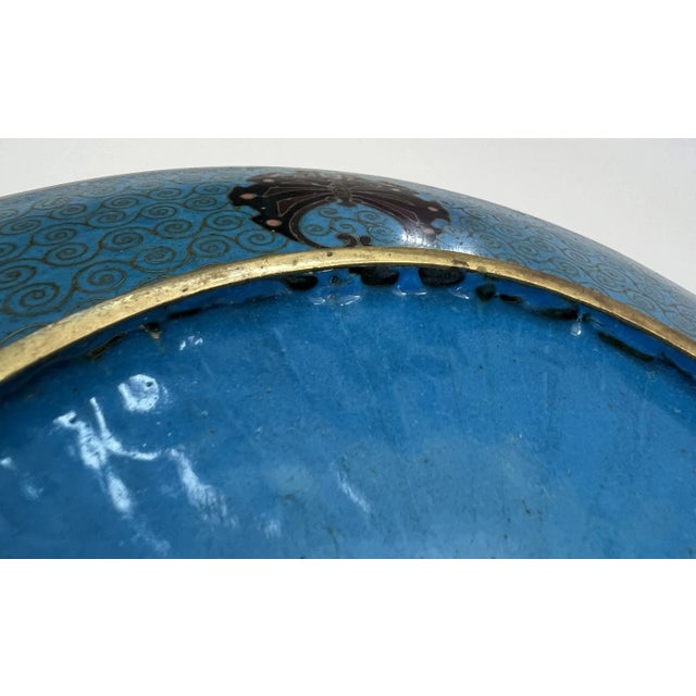 Antique Japanese Meiji Period Cloisonne Charger With Shishi Lion Dogs and Turtle With Hairy Tails For Sale - Image 12 of 12