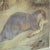 Old Vintage Country Style Weasel Otter Poster Print Wall Chart For Sale - Image 3 of 6