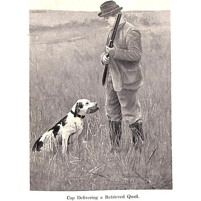 Rob and His Gun For Sale - Image 4 of 11