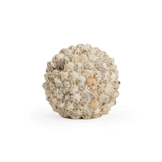Made of natural Sacharine shells, this decorative ball adds a welcome organic feel to any space.
