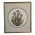 1980s Country Cottage Core "Tulips II”Signed Lithograph by Barbara Dauman For Sale