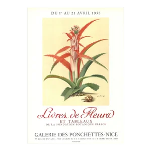 1958 Georg Dionysius Ehret 'Flower Books and Paintings from the Plesch Botanical Foundation' Contemporary Lithograph