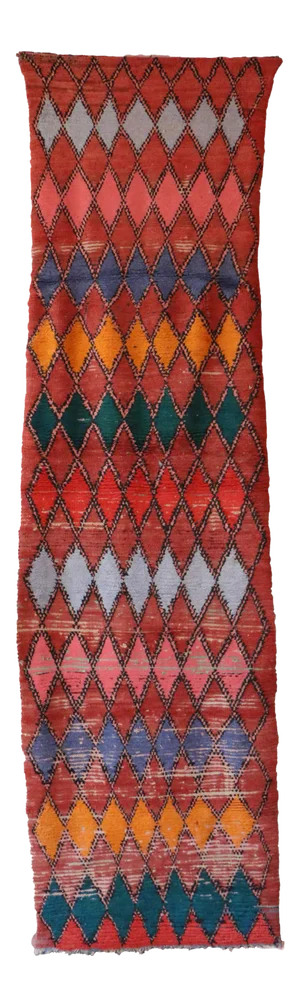 Moroccan Runner Boujad Rug 3x11 Ft