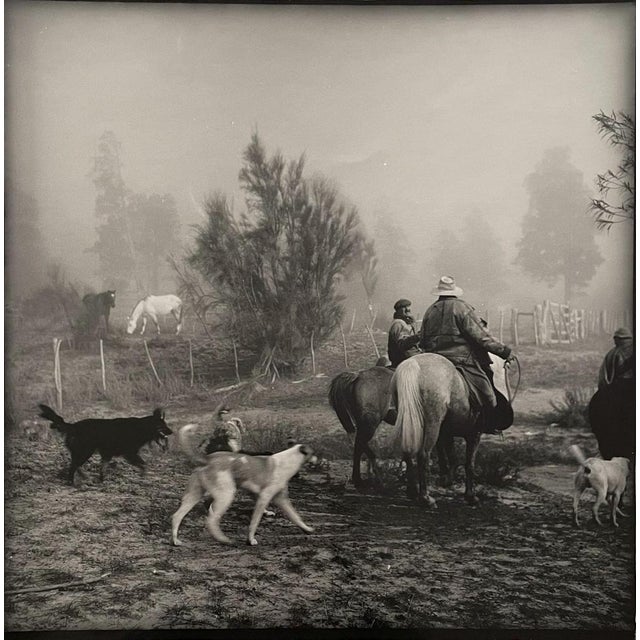Emmanuel Ortiz (1963) Argentina Patagonia 2008 Silver print Format 50 x 40, image 36 x 36 Sign This piece is attributed to...