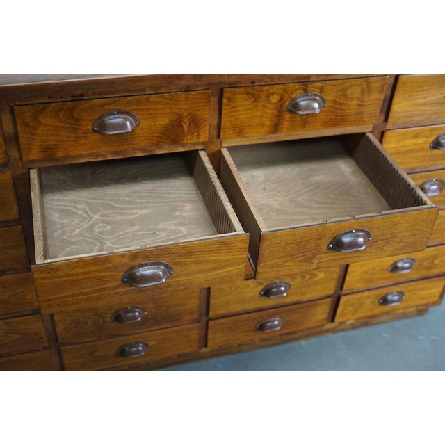 German Beech Apothecary Cabinet, Mid-20th Century For Sale - Image 11 of 16