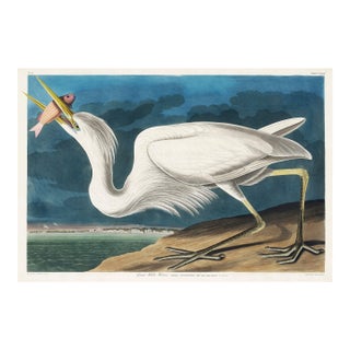 Great White Heron, Vintage Art Print Reproduction From Birds of America by John James Audubon, 30″ × 20" For Sale