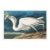 Great White Heron, Vintage Art Print Reproduction From Birds of America by John James Audubon, 30″ × 20" For Sale
