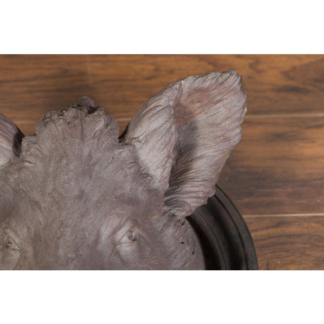 English 1880s Terracotta Hog Head Mounted on New Custom Circular Iron Frame For Sale - Image 9 of 12