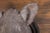 English 1880s Terracotta Hog Head Mounted on New Custom Circular Iron Frame For Sale - Image 9 of 12
