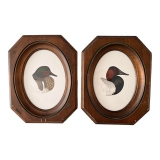 Vintage Framed Duck Water Color Sketches For Sale