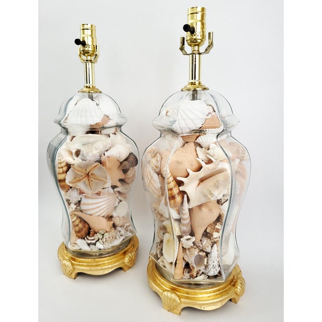 Willy Daro Lamps Ginger Jar Seashells Shells Pair For Sale - Image 4 of 12