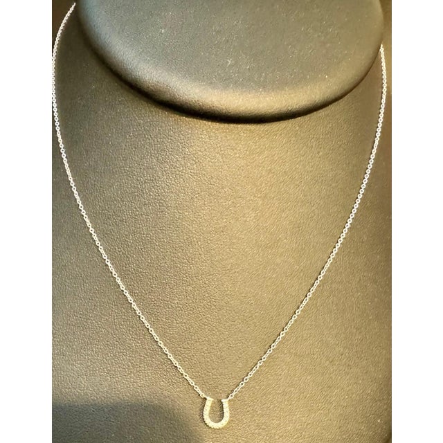 Tiffany & Co. Horseshoe 18P Diamond Necklace 16" 18 Karat White Gold Authentic For Sale - Image 14 of 18