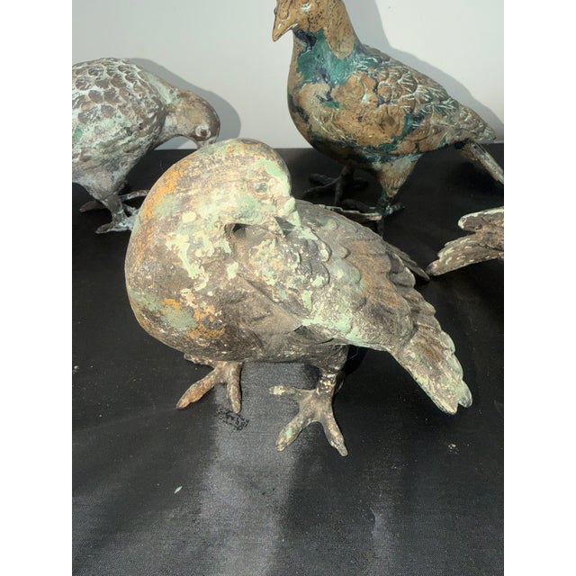 Set of 5 Metal Pigeons in Heavy Metal Possibly Bronze For Sale - Image 12 of 13
