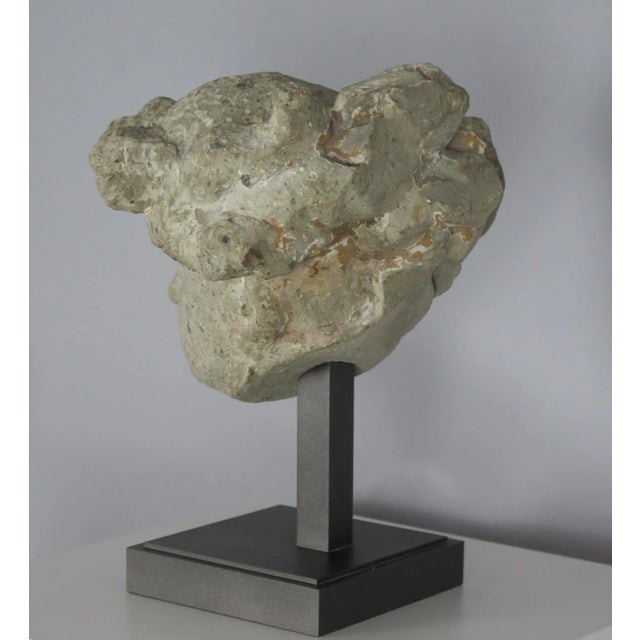 Antique German Medieval Stone Bust of an Angel For Sale In Los Angeles - Image 6 of 7