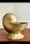 Mid-Century Modern Vintage Boho Brass Nautilus Shell Planter For Sale - Image 3 of 6