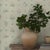English Ängsflora by Boråstapeter Wallcovering In Sage For Sale - Image 3 of 4