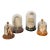 4 Vintage Coastal Marine Specimens in Domed Clochets For Sale