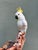 Ceramic Vintage Italian Majolica Ceramic Cockatoo Bird Planter Cachepot — Tropical Hollywood Regency For Sale - Image 7 of 9
