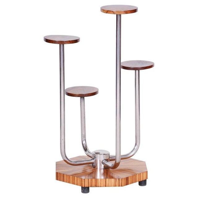 Gold Bauhaus Chrome and Zebrano Wood Flower Stand attributed to Mücke-Melder, Czechoslovakia, 1930s For Sale - Image 8 of 8