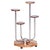 Gold Bauhaus Chrome and Zebrano Wood Flower Stand attributed to Mücke-Melder, Czechoslovakia, 1930s For Sale - Image 8 of 8