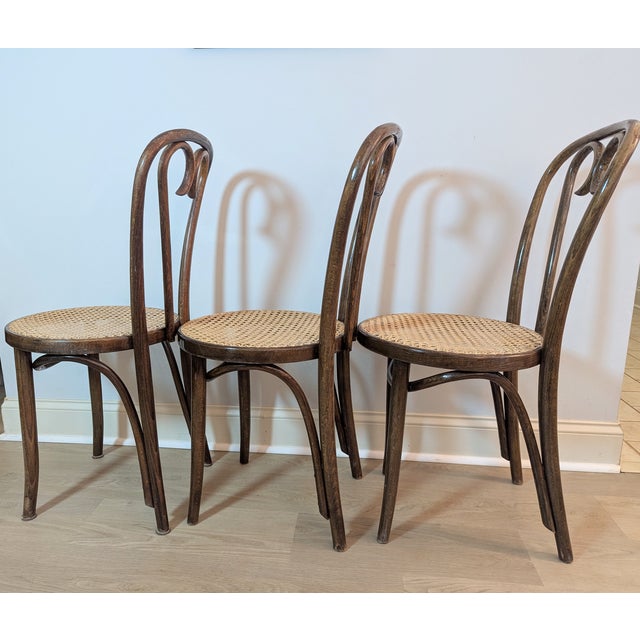 1960s Sweetheart Bentwood & Cane Chairs by ZPM Radomsko for Thonet For Sale In Raleigh - Image 6 of 14