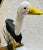 Vintage Coastal Hand-Carved and Painted Large Seagull Driftwood Statue For Sale - Image 12 of 13