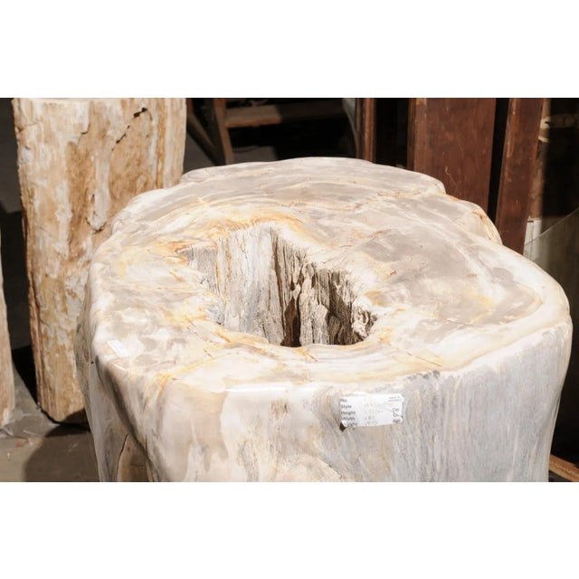 Large Petrified Wood Table Base For Sale - Image 11 of 12