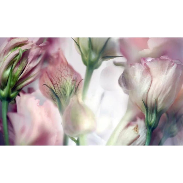 soft-focus, many layered botanical image Unframed Bevy by Nicole Katano Print, 26" x 45"