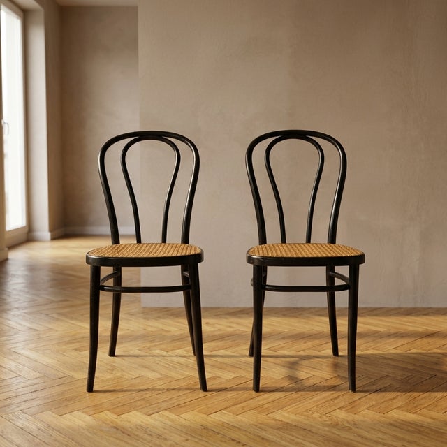 Bentwood Vienna Straw Seats, 1960s, Poland, Set of 2 For Sale - Image 12 of 12