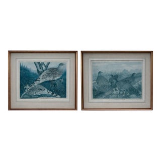 Vintage Framed Watercolor Lithographs of Spurfowl & Pheasants, Set of 2 For Sale