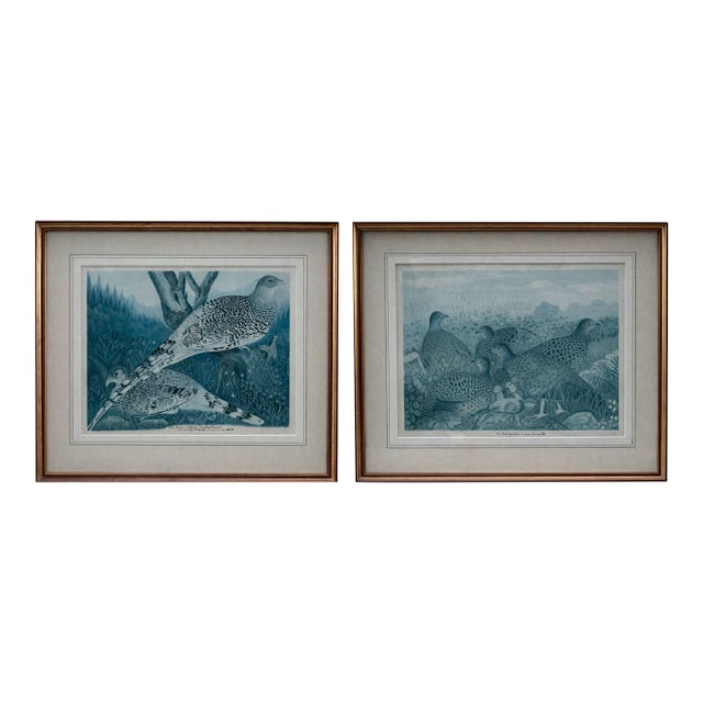 Vintage Framed Watercolor Lithographs of Spurfowl & Pheasants, Set of 2 For Sale