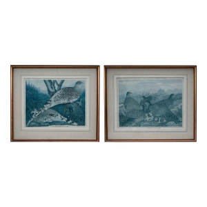 Vintage Framed Watercolor Lithographs of Spurfowl & Pheasants, Set of 2