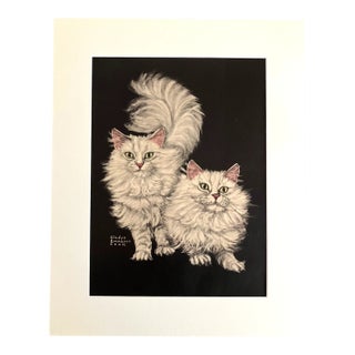 Vintage Midcentury Gladys Emerson Cook White Persian Cats Portrait w/16x20 Mat For Sale
