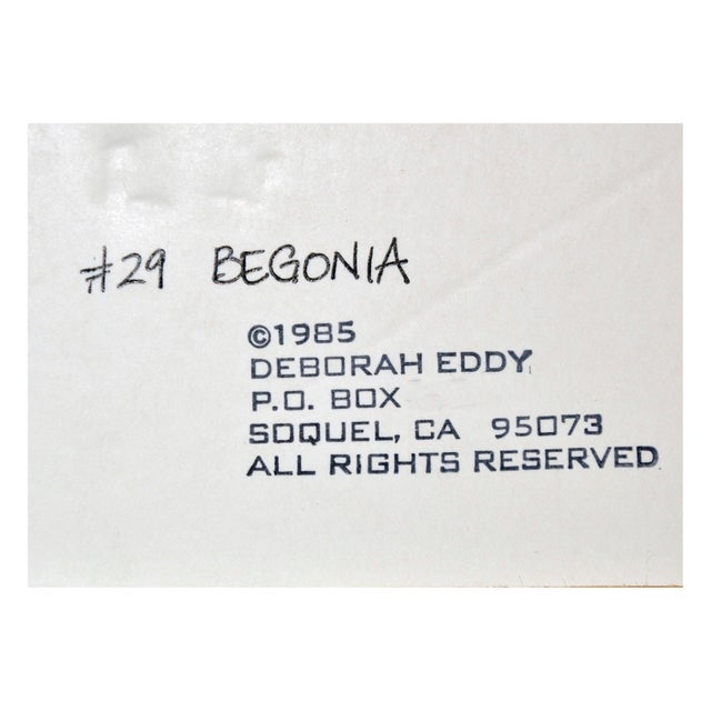 White Begonia - Botanical Study by Deborah Eddy For Sale - Image 8 of 10