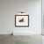 Beige After Lilian Medland, Common Scoter, 1909, Print For Sale - Image 8 of 9