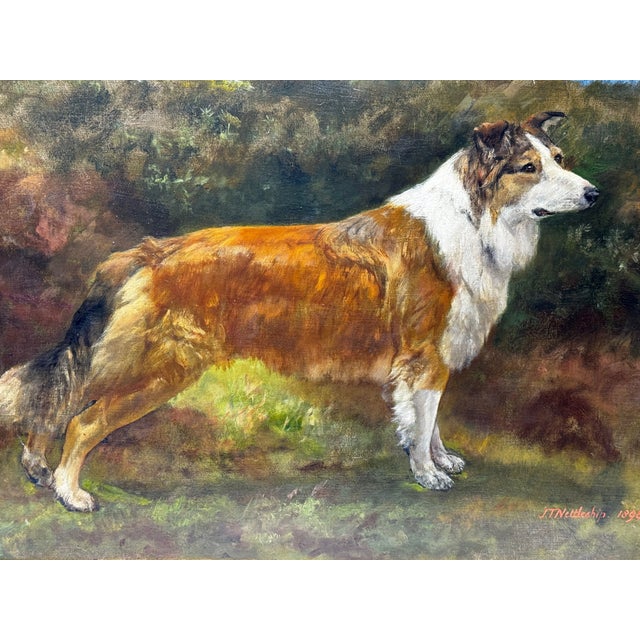 Important C.1898 Victorian Oil Portrait of a Rough Collie After John Emms by John Trivett Nettleship (British, 1841–1902)...
