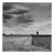 Paul Cooklin, the Dividing Line, Suffolk, Edition of 50 For Sale