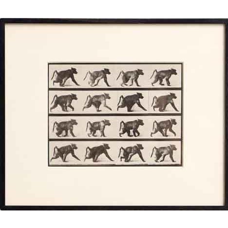 After Eadweard Muybridge — Black-and-White Heliogravure “Child with Watering Can” Electa Editrice Portfolio (Milan,...