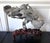 Extraordinary Chinese Taihu Scholar Stone Rare Form on Display Stand For Sale - Image 16 of 18