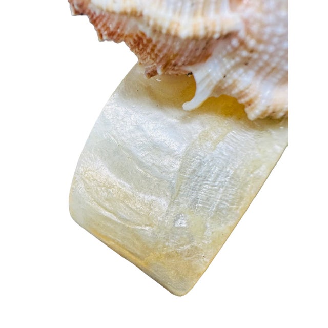 1980s Vintage Capiz and Bursa Rana Shell Napkin Rings a Set of 6 For Sale - Image 5 of 8