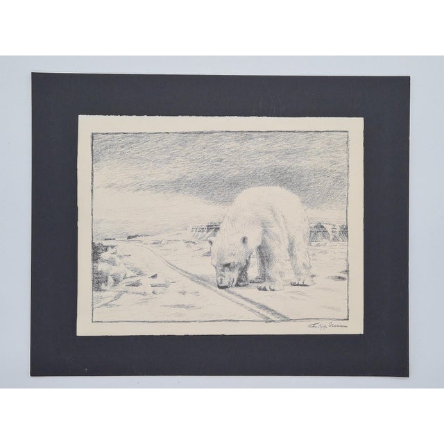 Fridtjof Nansen, Polar Bear, 1974, Lithograph For Sale - Image 13 of 13