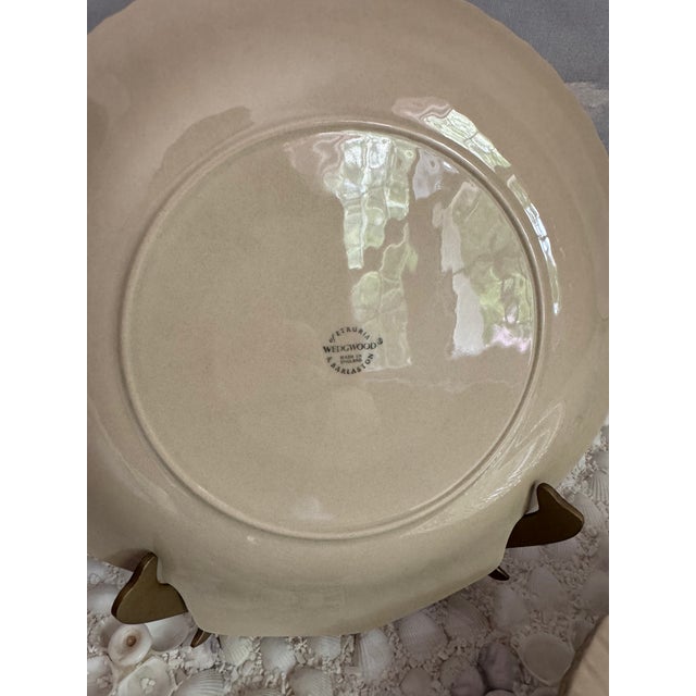 Mid 20th CenturyWedgwood Wedgwood of Etruria & Barlaston Nautilus Taupe Bone China Shell Plates -Set of 4 For Sale In Philadelphia - Image 6 of 6