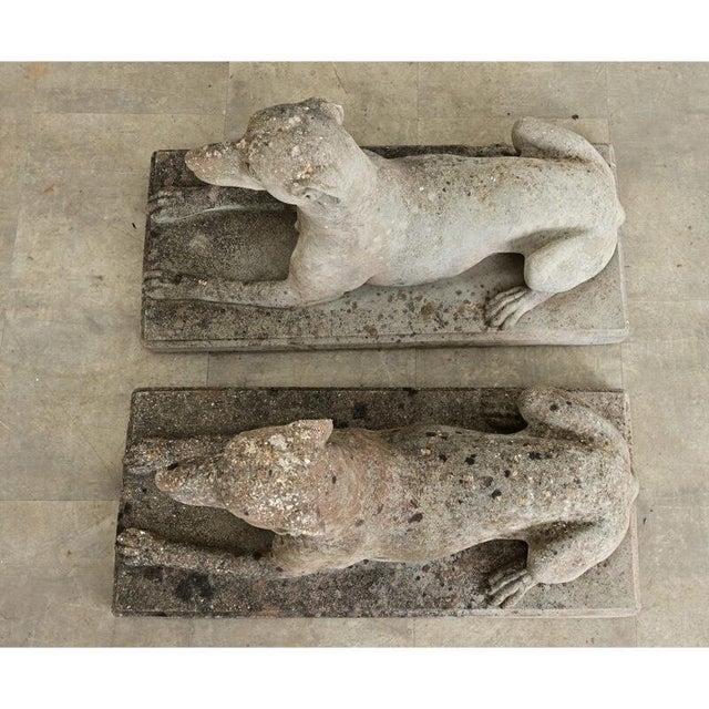Early 20th Century English Pair of Cast Stone Whippet Garden Statues For Sale - Image 9 of 10