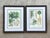 Vintage Framed Botanical Palm Illustrations - Set of 2 For Sale - Image 14 of 15