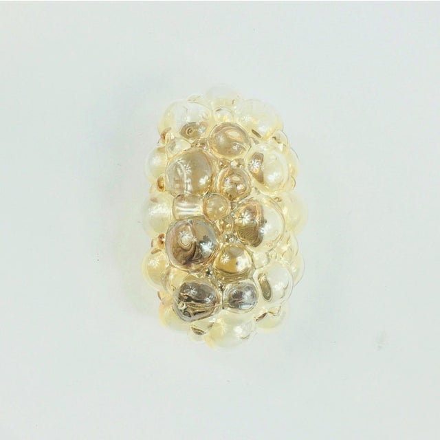 Mid-Century Amber Bubble Glass Wall Light attributed to Helena Tynell for Limburg, Germany, 1960s For Sale - Image 3 of 9