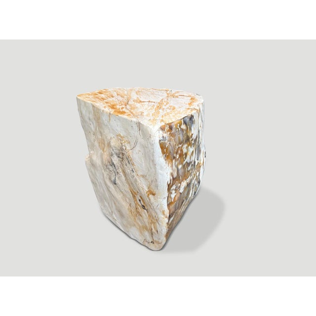 Contemporary Andrianna Shamaris Multifaceted Modern Organic Petrified Wood Side Table For Sale - Image 3 of 4