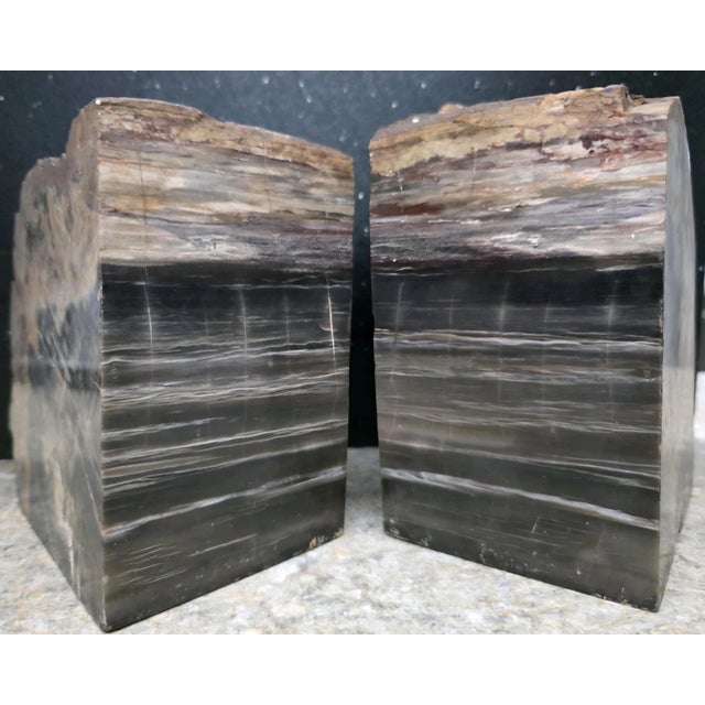 XL Petrified Wood Bookends 6.5”h 5”w 4"d Natural Top Fossil Art Decor 19+ Lbs! For Sale - Image 10 of 11